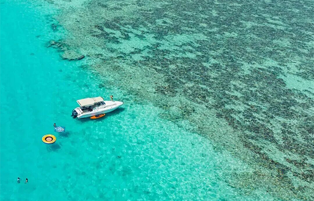 未标题-1 未标题-1